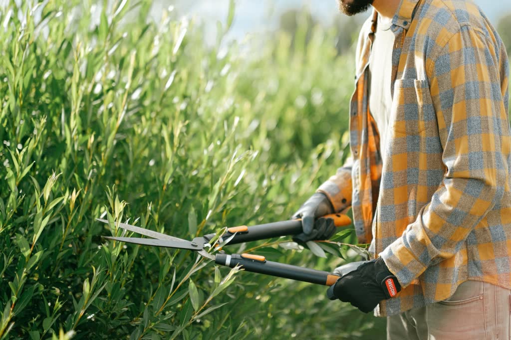 Keep your garden maintenance simple