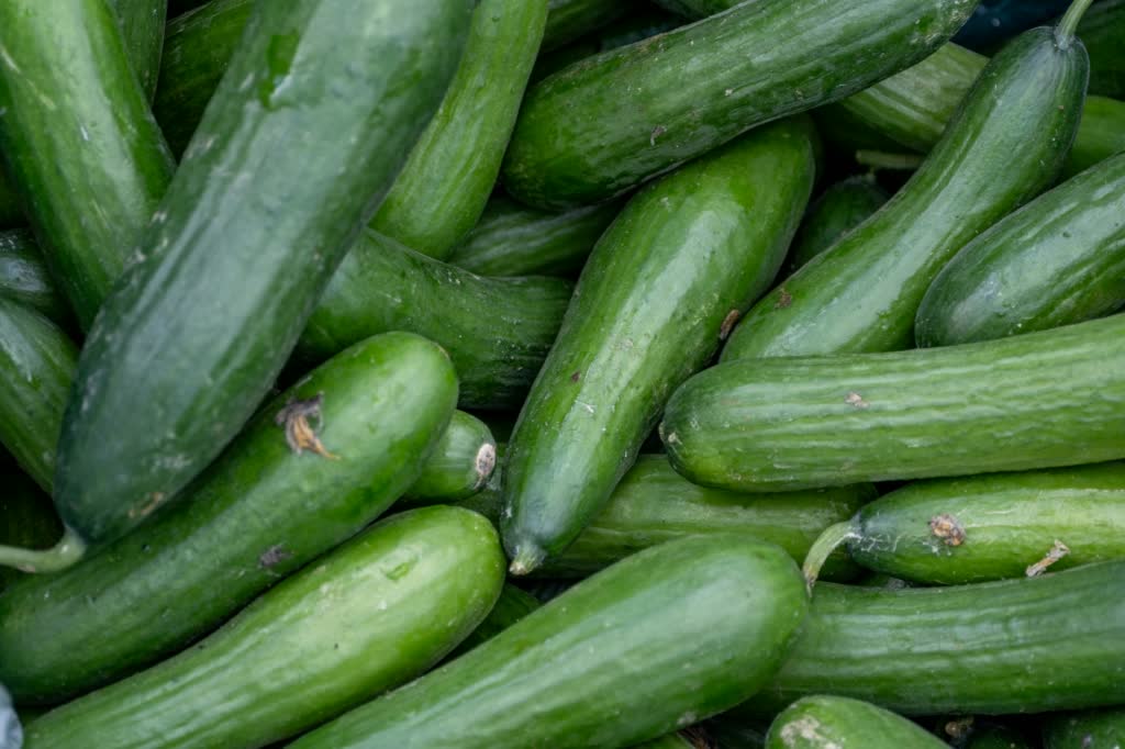 Cucumbers Cucumbers