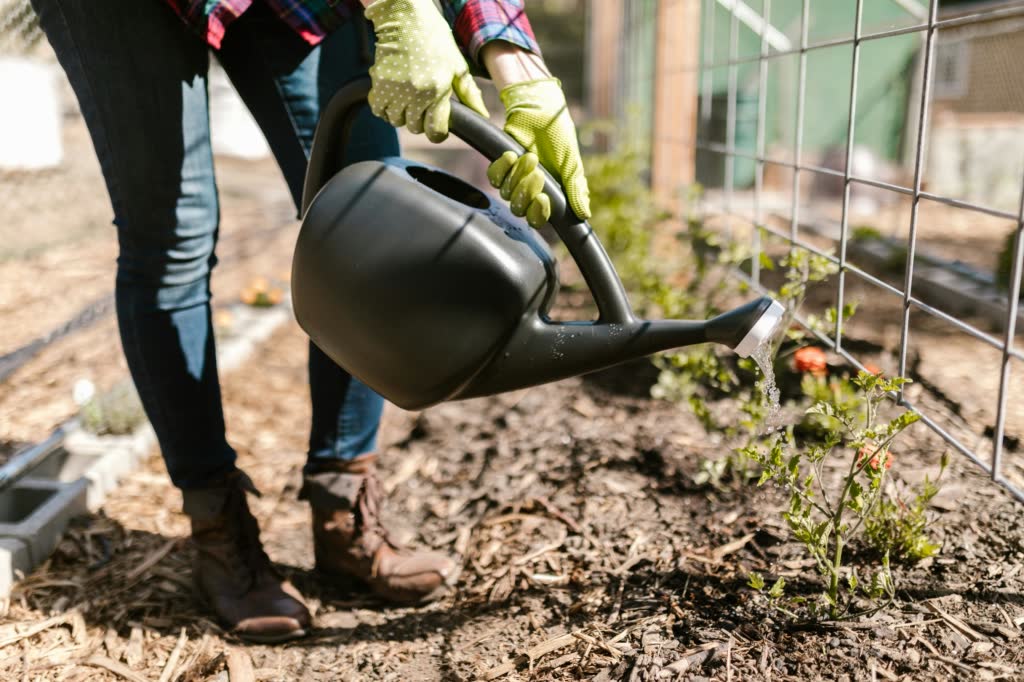 hot weather gardening