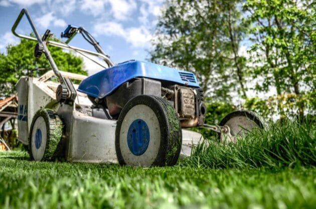 Healthy green lawn being aerated with a manual core aerator, with rich soil plugs visible on the surface. A gardener in the background waters the grass, promoting deep root growth for a lush, vibrant lawn.