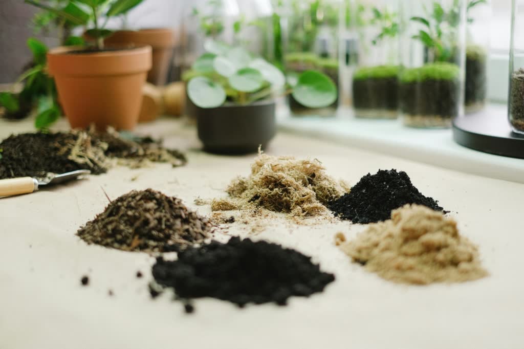 An overhead view of neatly arranged soil materials for a terrarium, including layers of pebbles, activated charcoal, potting mix, and sphagnum moss, on a table, ready for assembly.