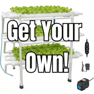 Get Your Own! (1)
