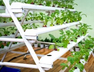 DIY hydroponic salad table growing leafy greens and herbs without soil