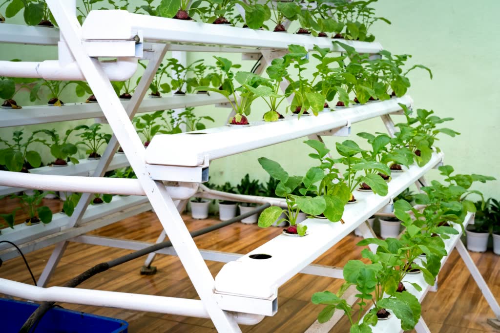 DIY hydroponic salad table growing leafy greens and herbs without soil